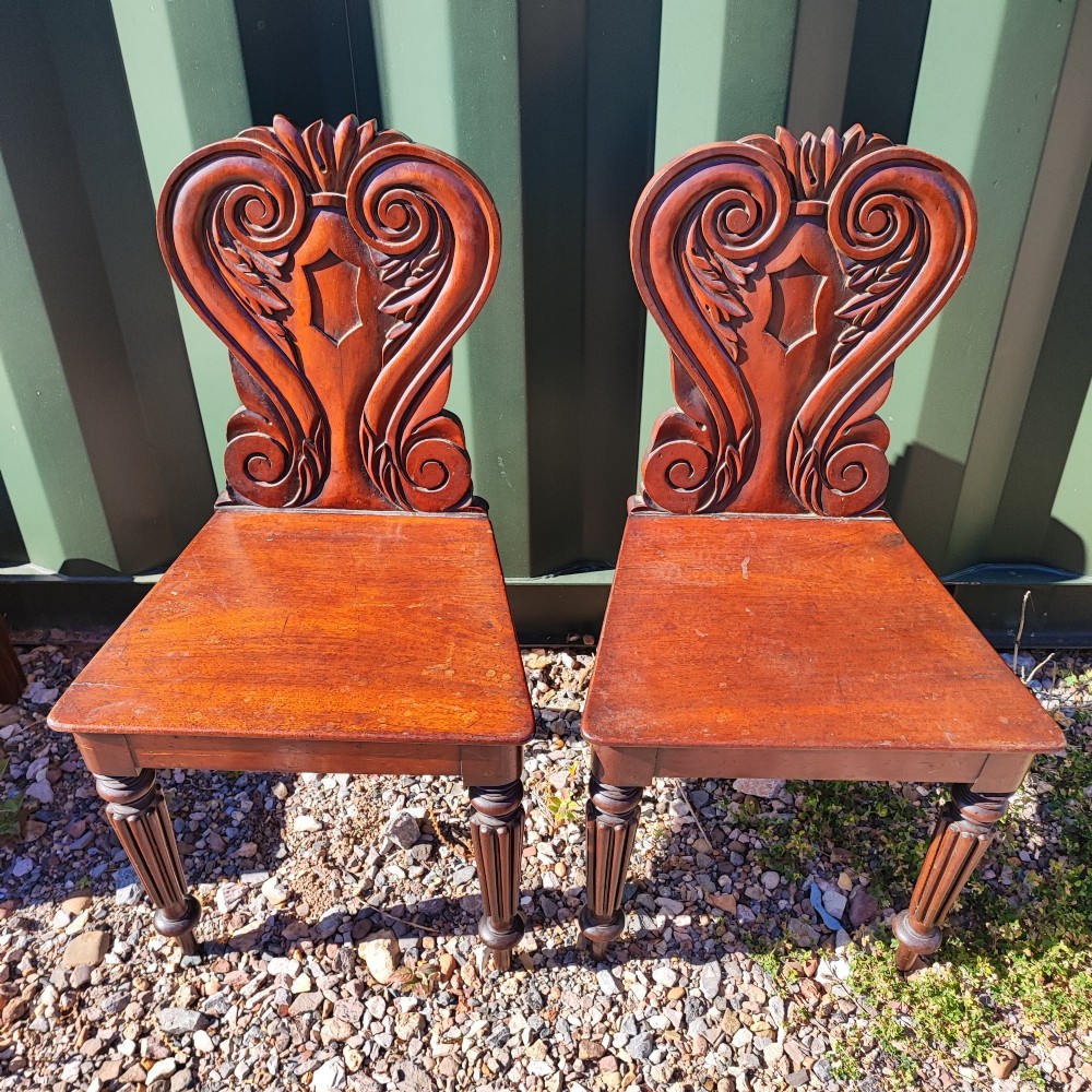 A pair of William IV mahogany hall chairs featuring carved C-scroll backrests with central blank shields, solid timber seats, and reeded front legs.
