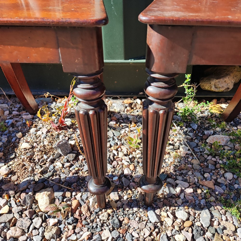 A pair of William IV mahogany hall chairs featuring carved C-scroll backrests with central blank shields, solid timber seats, and reeded front legs. View III