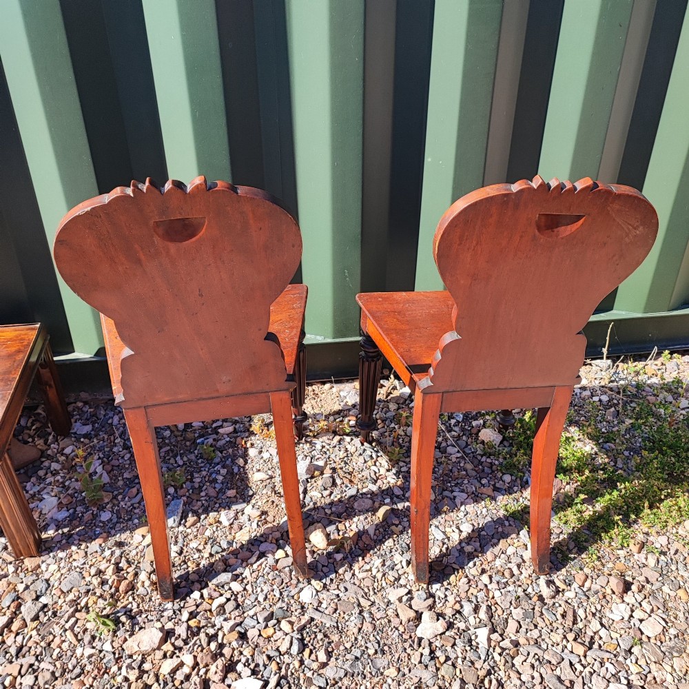 A pair of William IV mahogany hall chairs featuring carved C-scroll backrests with central blank shields, solid timber seats, and reeded front legs. View IV