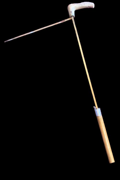 ANTIQUE WALKING STICKHORSE MEASURING CANE - ADDITIONAL PHOTO 1