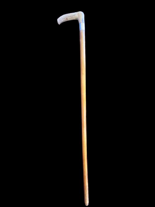 ANTIQUE WALKING STICKHORSE MEASURING CANE - ADDITIONAL PHOTO 4