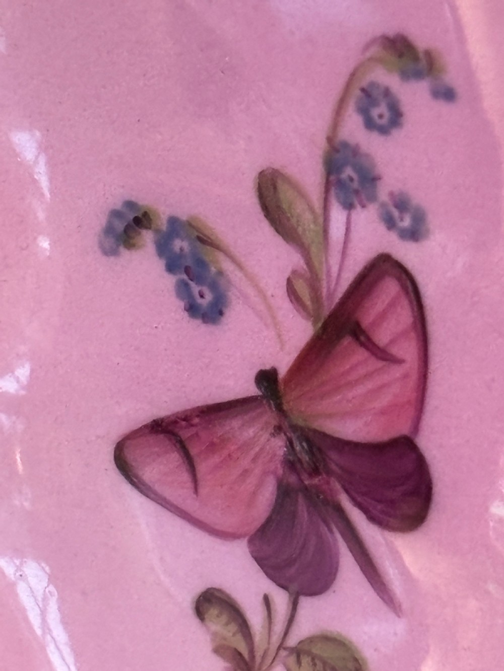 A pair of oval Georgian Spode porcelain dishes featuring scalloped pink and gold borders surrounding central hand-painted floral and butterfly motifs. View II