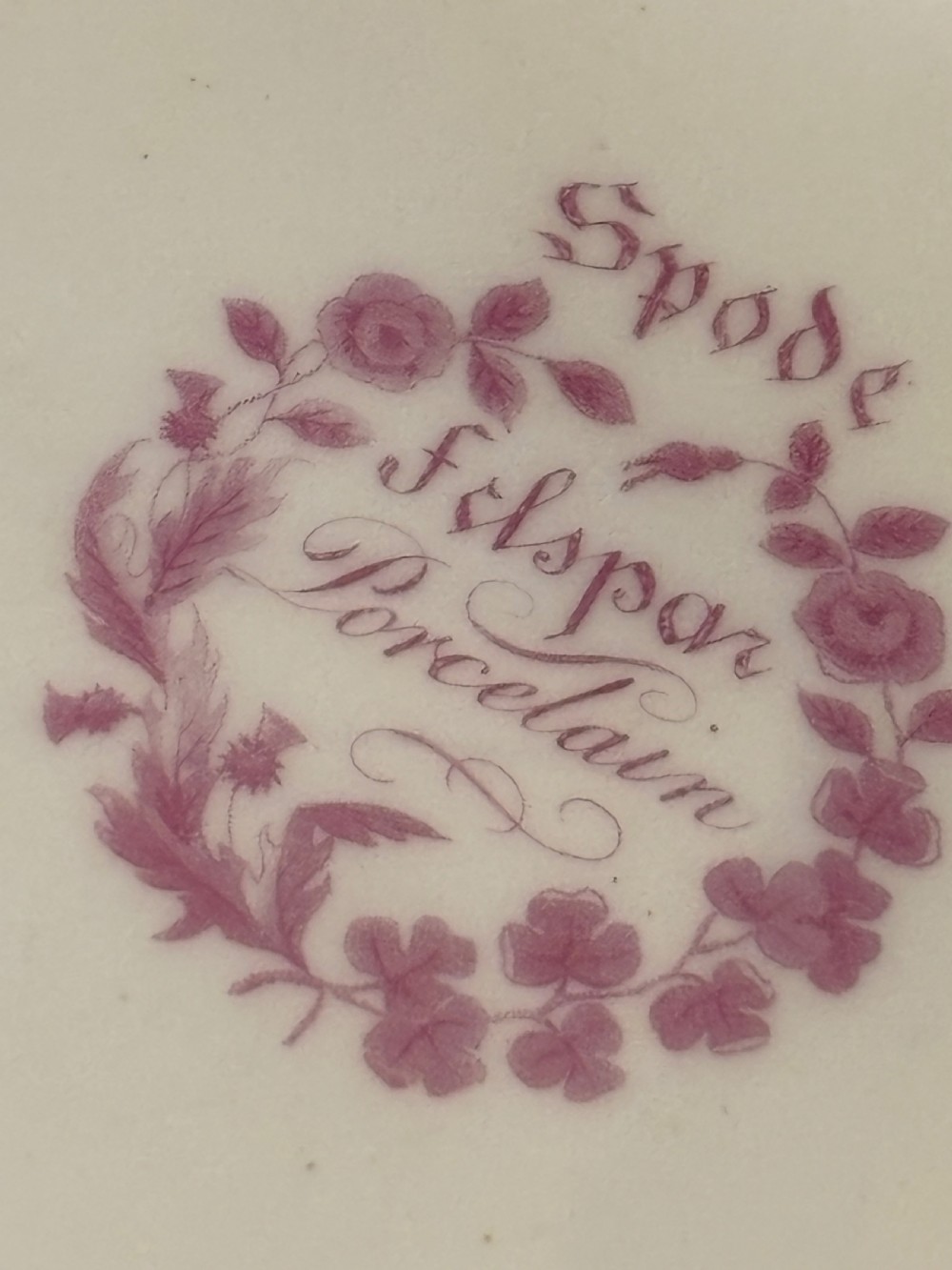 A pair of oval Georgian Spode porcelain dishes featuring scalloped pink and gold borders surrounding central hand-painted floral and butterfly motifs. View V