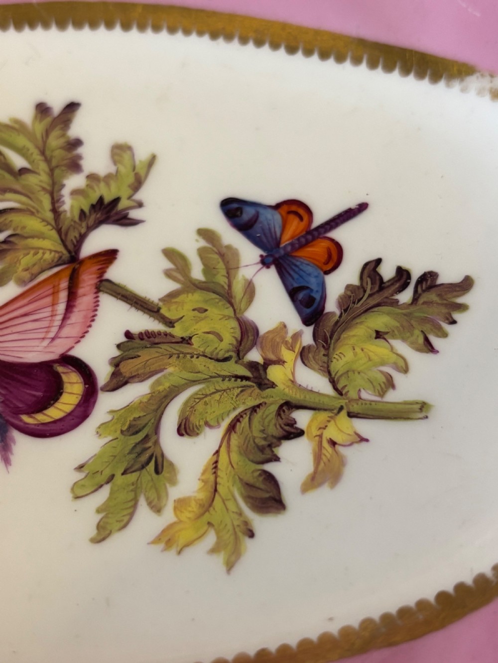 A pair of oval Georgian Spode porcelain dishes featuring scalloped pink and gold borders surrounding central hand-painted floral and butterfly motifs. View VIII