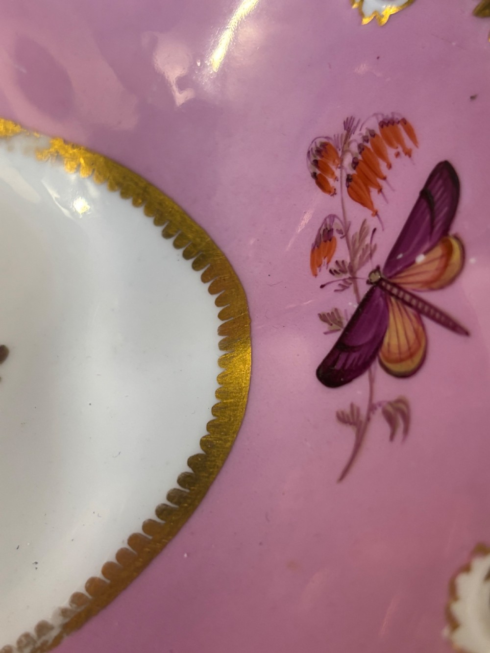 A pair of oval Georgian Spode porcelain dishes featuring scalloped pink and gold borders surrounding central hand-painted floral and butterfly motifs. View IX