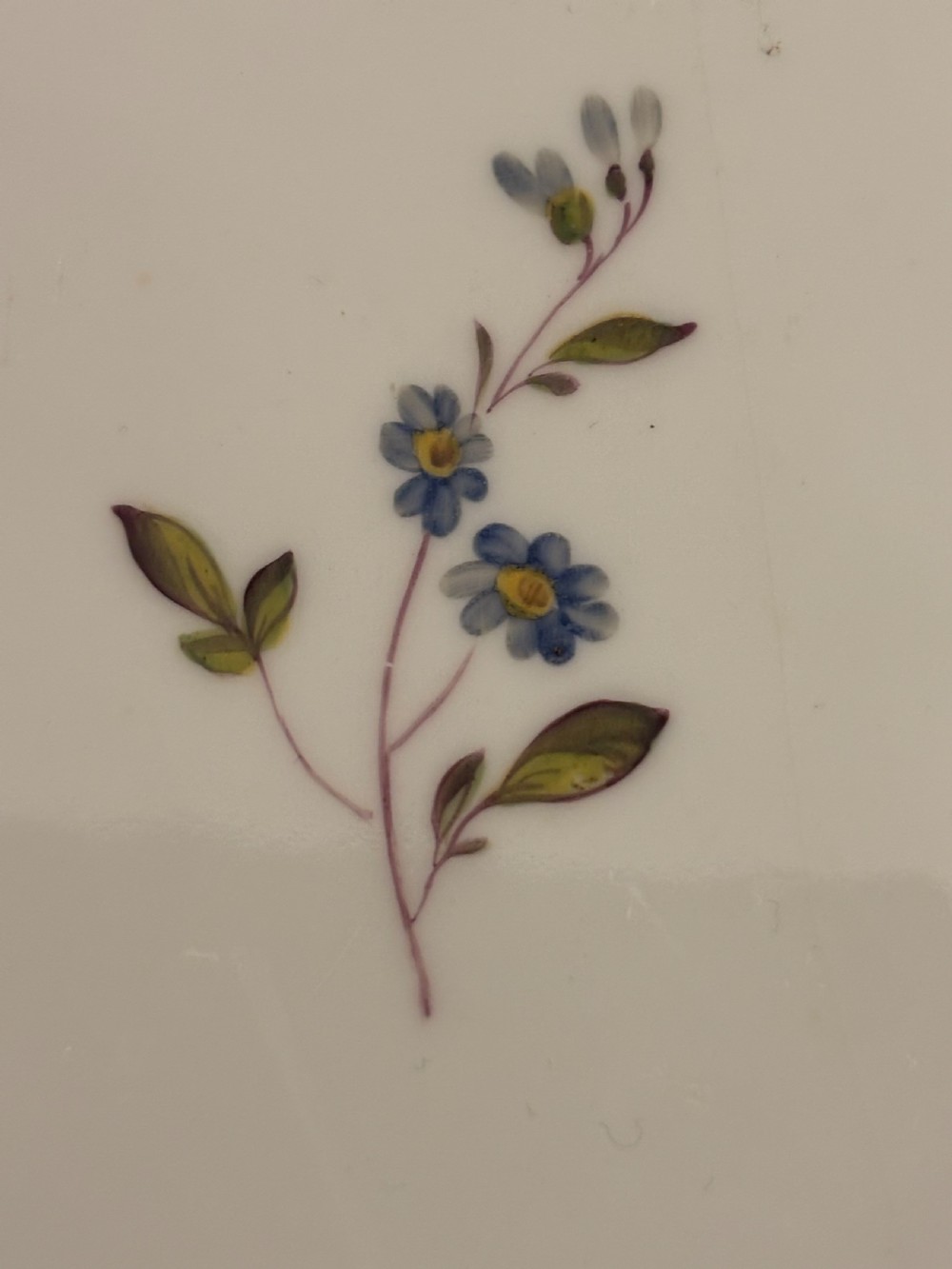 An antique off-white porcelain dessert service with hand-painted floral sprigs, scalloped edges, and gilded rims arranged against a black backdrop. View XXV