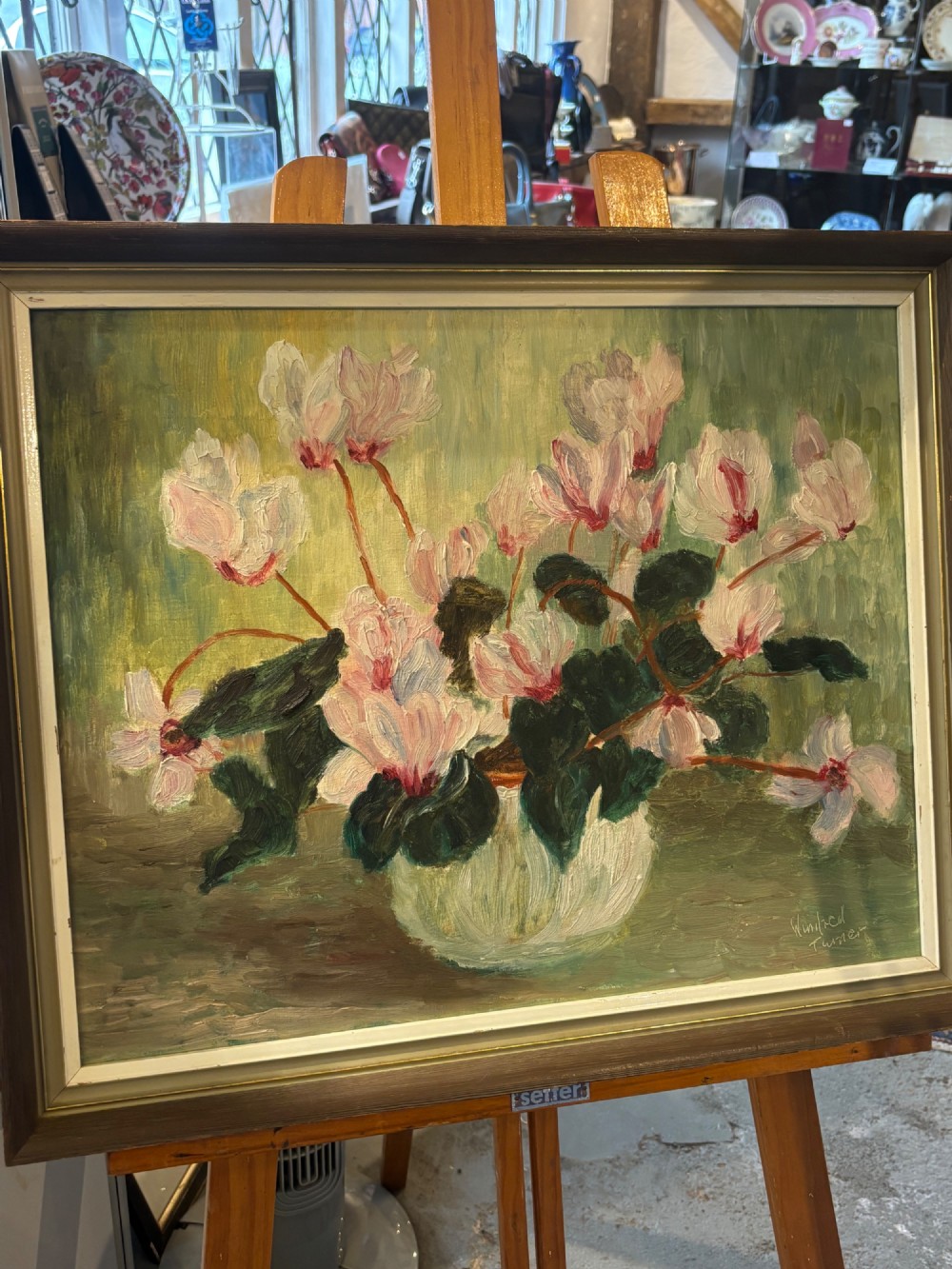 A framed mid-century oil painting on board depicting white and pink cyclamen flowers in a glass vase against a sage green background, signed by artist Winifred Turner.