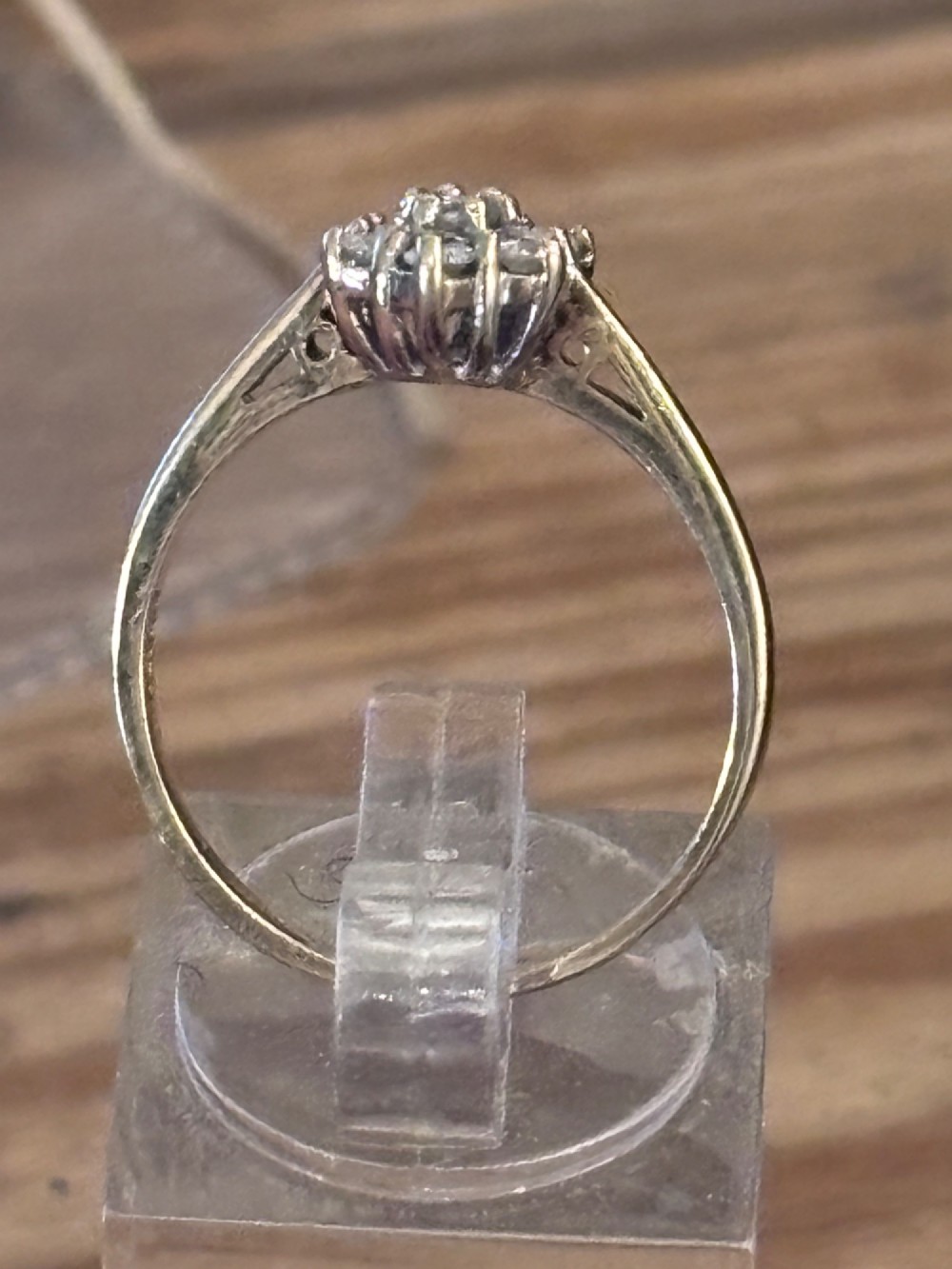 Alternate View