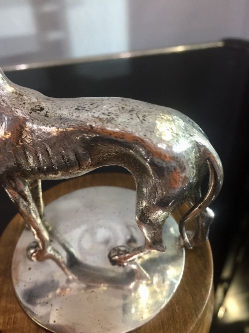 ART DECO PERIOD SILVER PLATED BRONZE GREYHOUND WHIPPET CAR MASCOT C1930 - ADDITIONAL PHOTO 2