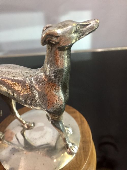 ART DECO PERIOD SILVER PLATED BRONZE GREYHOUND WHIPPET CAR MASCOT C1930 - ADDITIONAL PHOTO 4