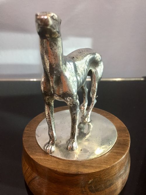 ART DECO PERIOD SILVER PLATED BRONZE GREYHOUND WHIPPET CAR MASCOT C1930 - ADDITIONAL PHOTO 6