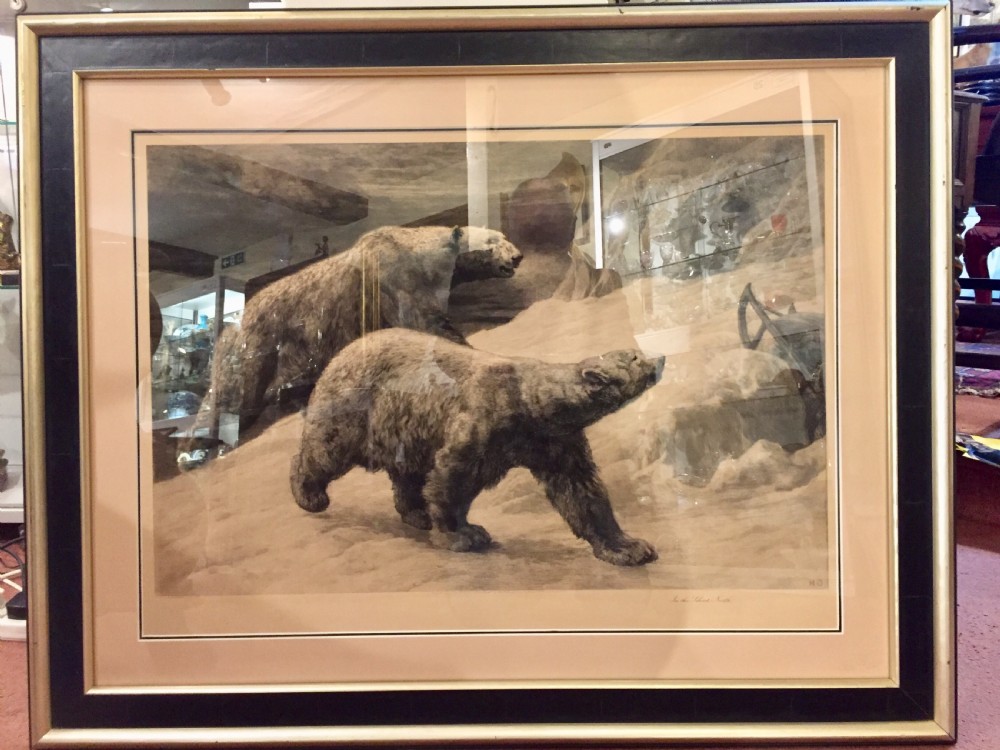 Herbert Dicksee signed original polar bear etching c1920