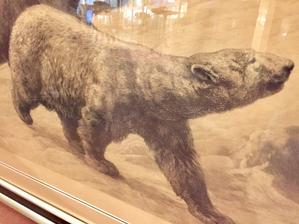 Herbert Dicksee signed original polar bear etching c1920 View VI