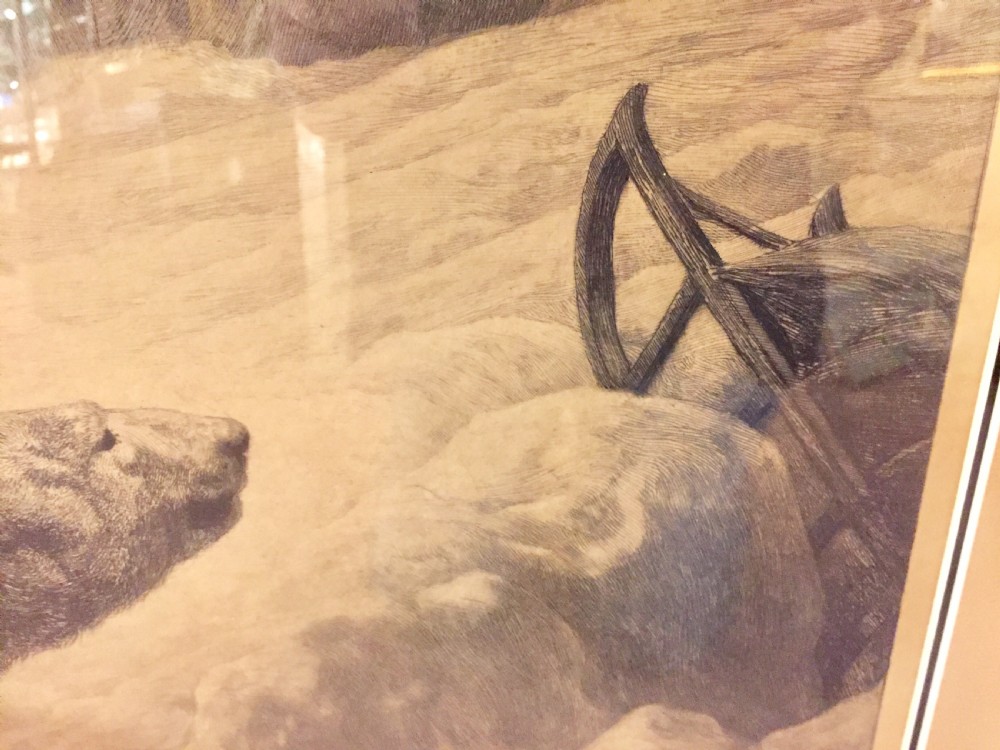Herbert Dicksee signed original polar bear etching c1920 View VII