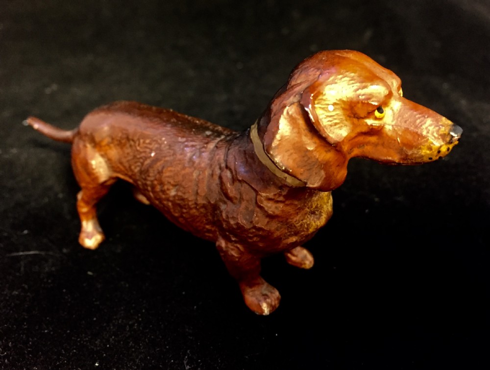 Dachshund cold painted Austrian c1910 View VII