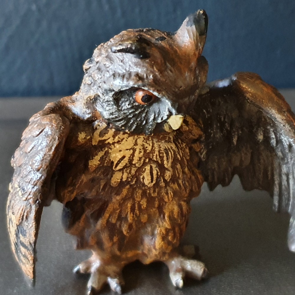 Original Austrian Cold Painted Bronze Owl c.1920 View IV