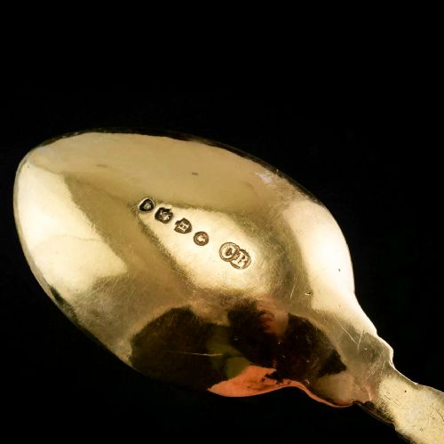 fig 5. Antique Victorian Solid Silver Gilt 6 Teaspoons with Magnificent Grape Vine Design - Charles Boyton 1883