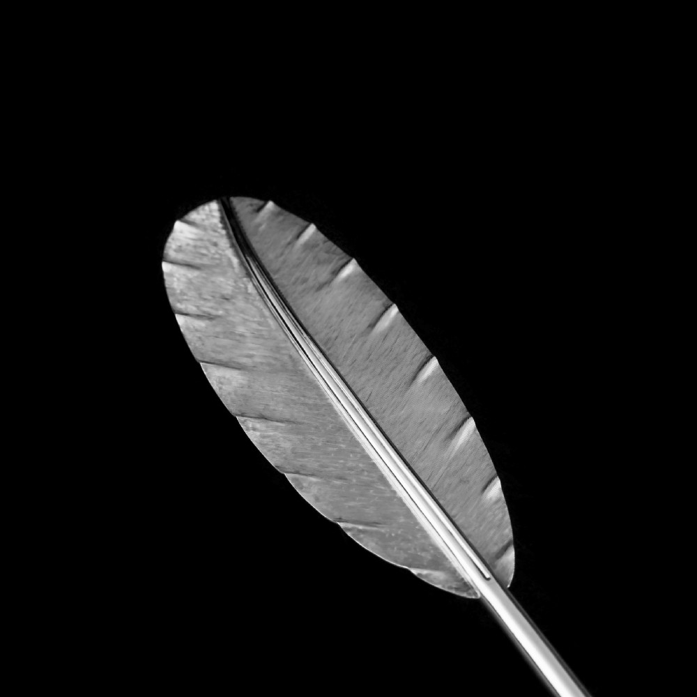 A Stylish Antique Solid Silver Feather Quill Pen - Carrington & Co 1901 View X