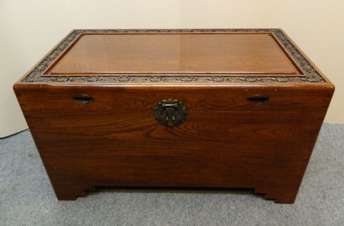 Camphor Wood Trunk