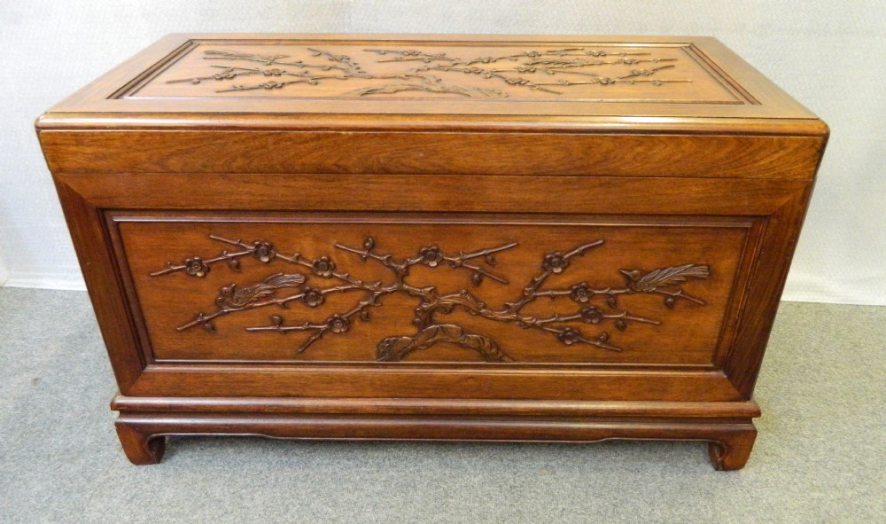 Chinese camphor wood trunk