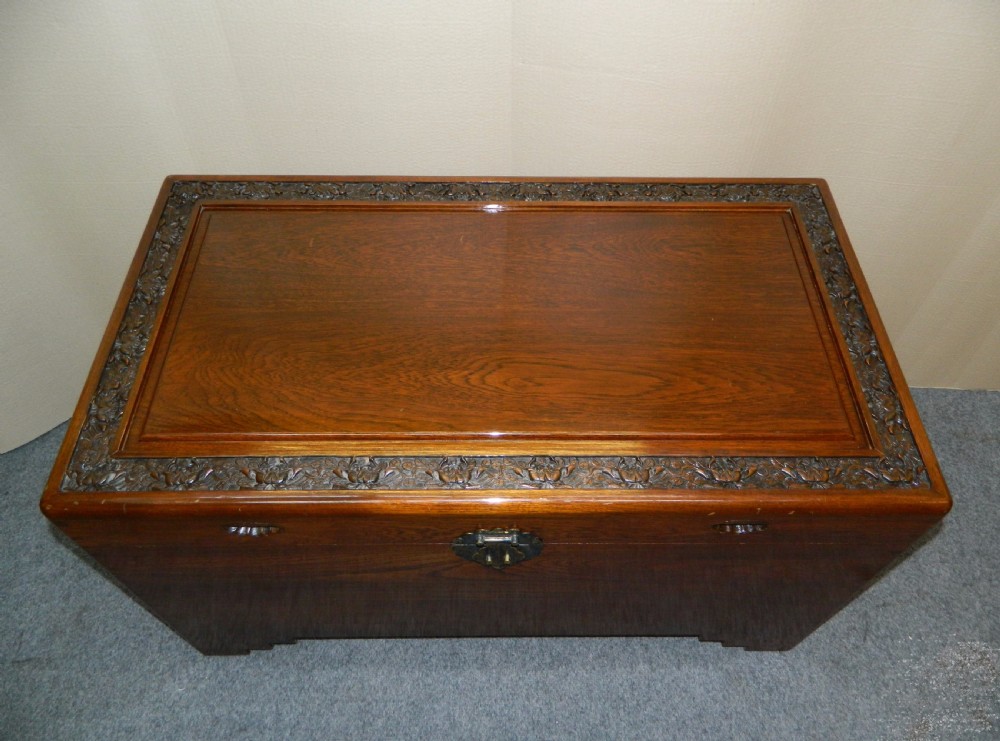 camphor wood trunk View III