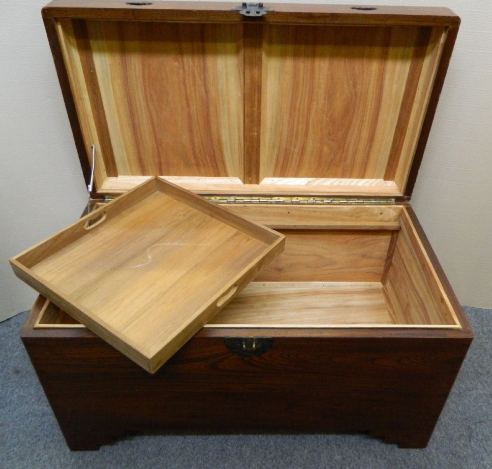 camphor wood trunk View VI