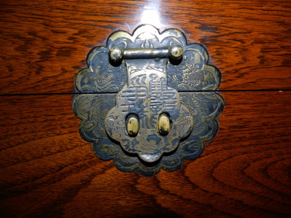 camphor wood trunk View VIII