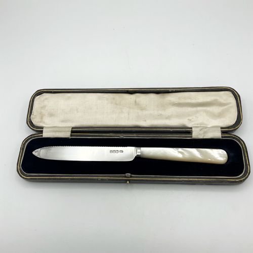 fig 1. A 1920s sterling silver cake knife featuring a mother of pearl handle, resting inside its fitted velvet presentation case.