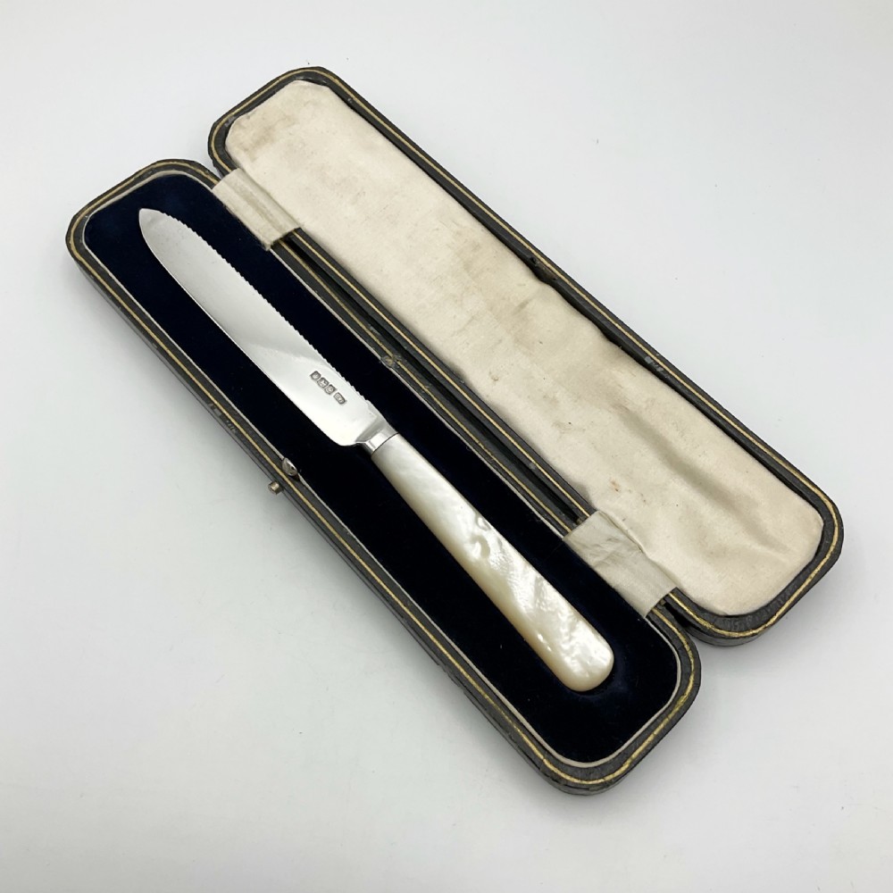 A 1920s sterling silver cake knife featuring a mother of pearl handle, resting inside its fitted velvet presentation case.