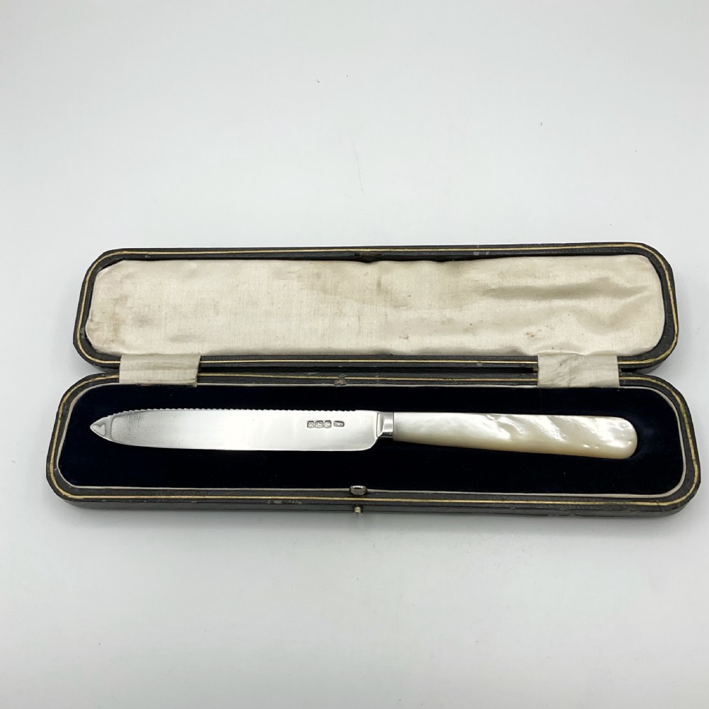 A 1920s sterling silver cake knife featuring a mother of pearl handle, resting inside its fitted velvet presentation case. View II