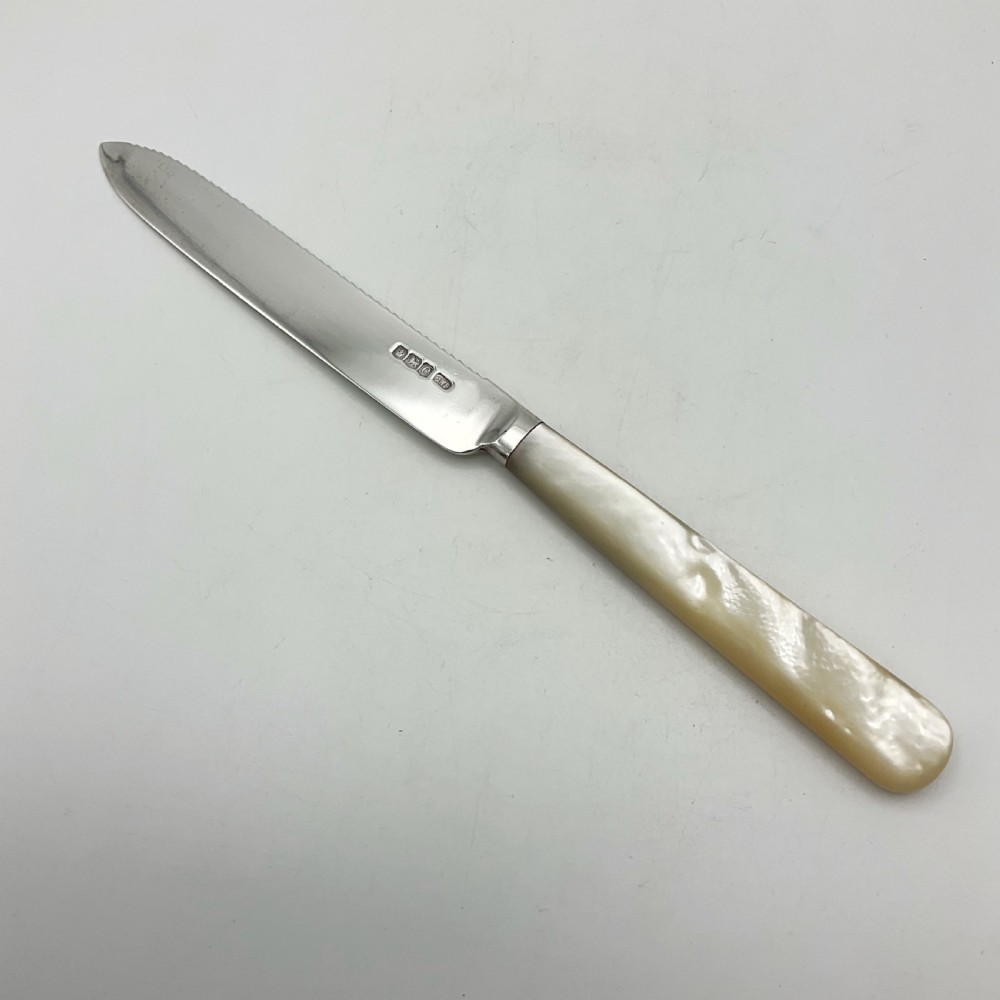 A 1920s sterling silver cake knife featuring a mother of pearl handle, resting inside its fitted velvet presentation case. View IV
