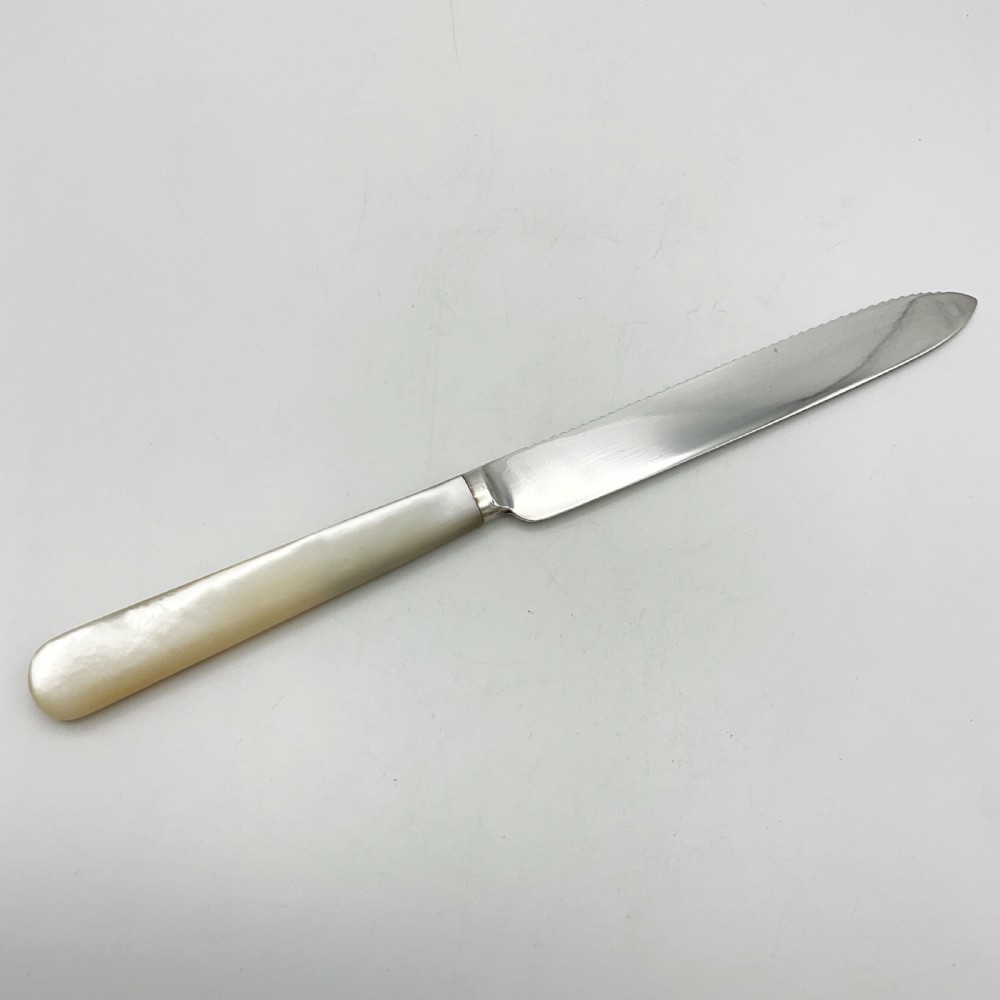 A 1920s sterling silver cake knife featuring a mother of pearl handle, resting inside its fitted velvet presentation case. View V