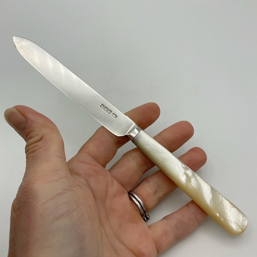 A 1920s sterling silver cake knife featuring a mother of pearl handle, resting inside its fitted velvet presentation case. View VI