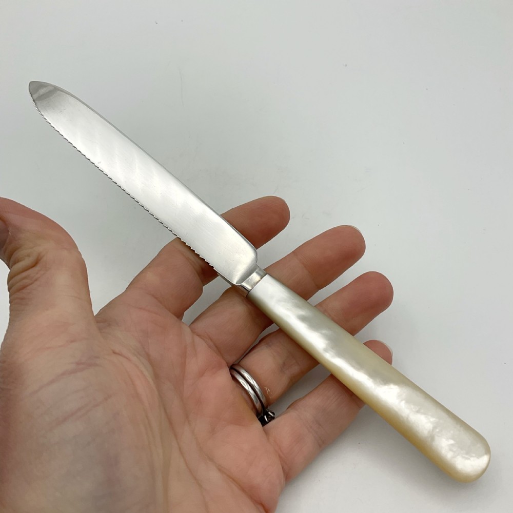 A 1920s sterling silver cake knife featuring a mother of pearl handle, resting inside its fitted velvet presentation case. View VII