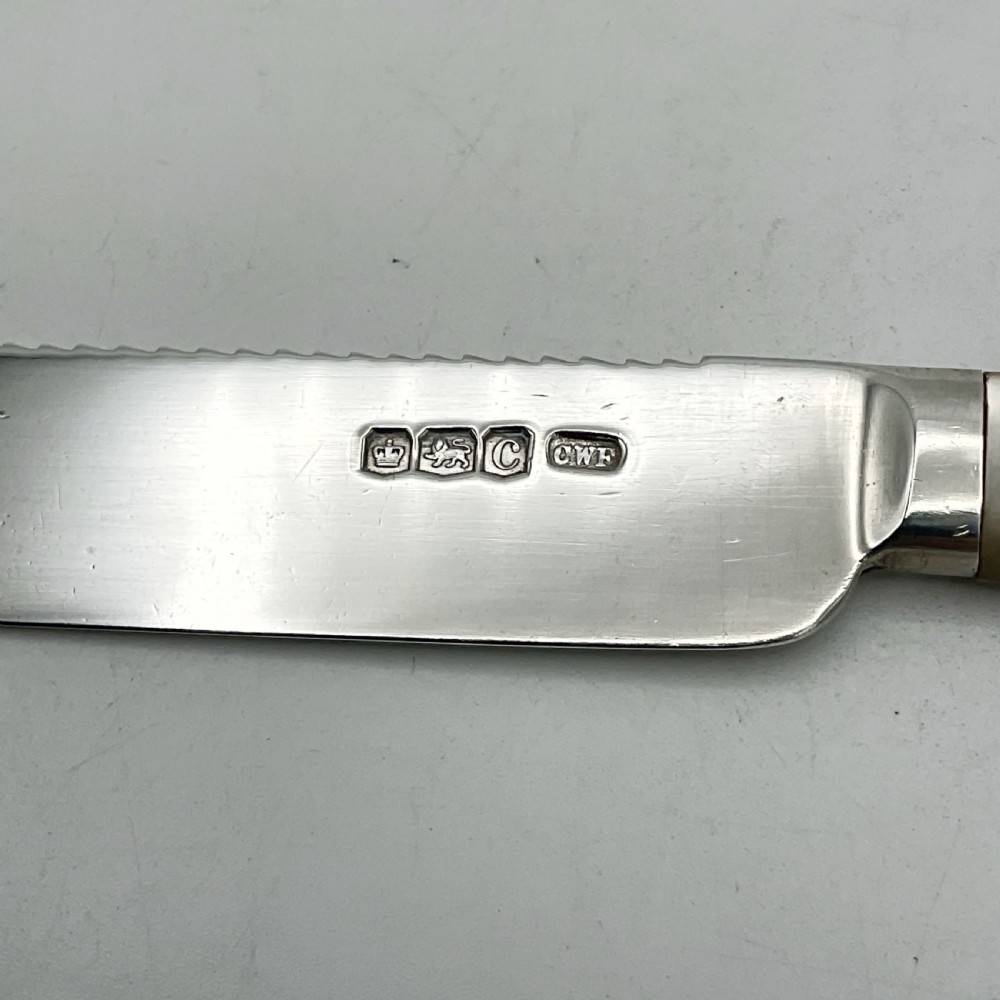 A 1920s sterling silver cake knife featuring a mother of pearl handle, resting inside its fitted velvet presentation case. View VIII