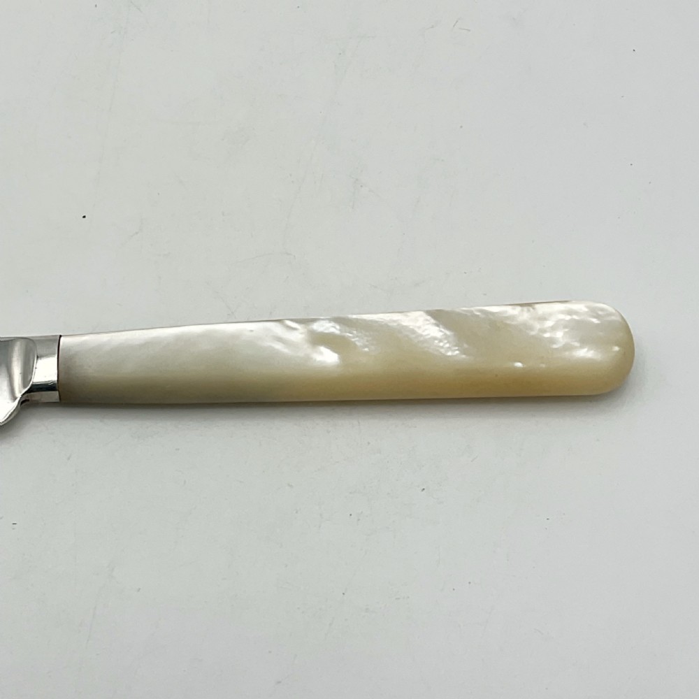 A 1920s sterling silver cake knife featuring a mother of pearl handle, resting inside its fitted velvet presentation case. View IX