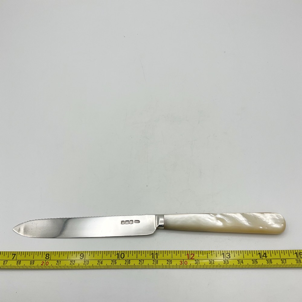 A 1920s sterling silver cake knife featuring a mother of pearl handle, resting inside its fitted velvet presentation case. View X