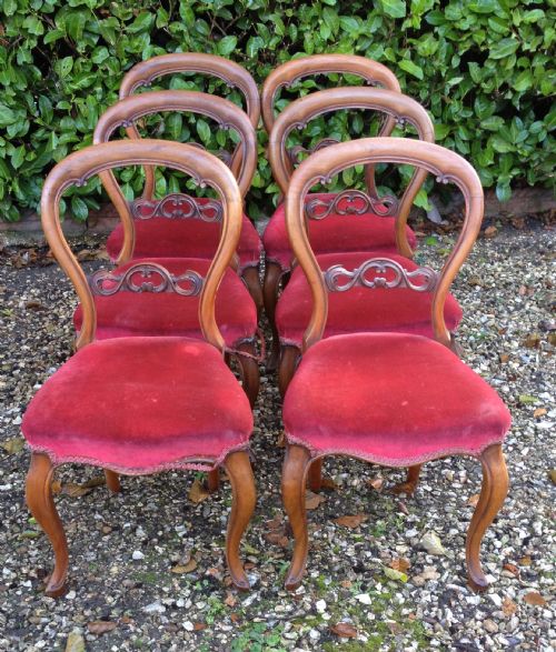 Antique Victorian Set of Six Balloon Back  Walnut Dining Chairs Circa 1870