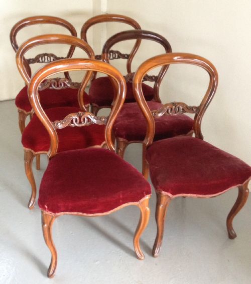 Victorian Set of Six Rosewood Balloon Backed Dining Chairs on Cabriole Legs Circa 1870