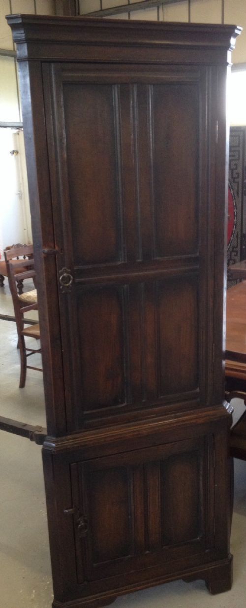 Nineteenth Century Floor Standing Oak Corner Cabinet - Panelled Doors
