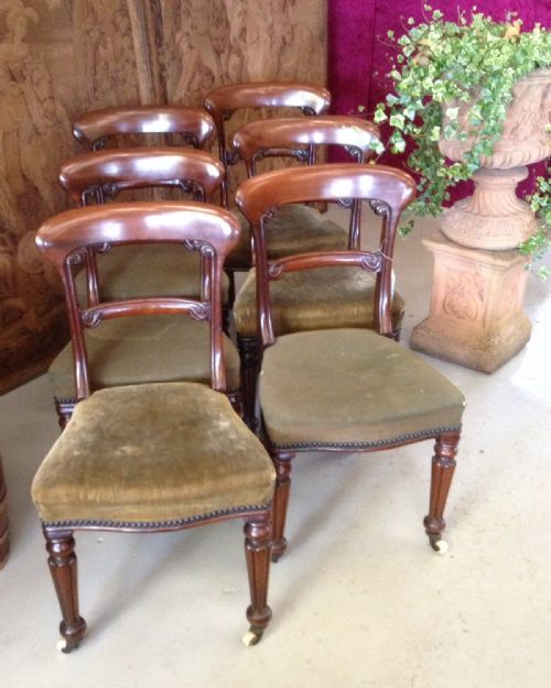 Antique Set of Six William 4th Mahogany Dining Chairs in Original Condition