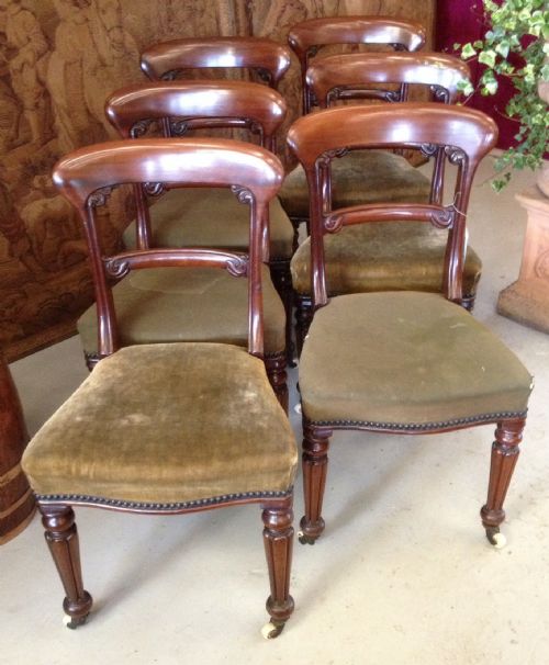 fig 1. Antique set of six William 4th mahogany dining chairs in original condition 