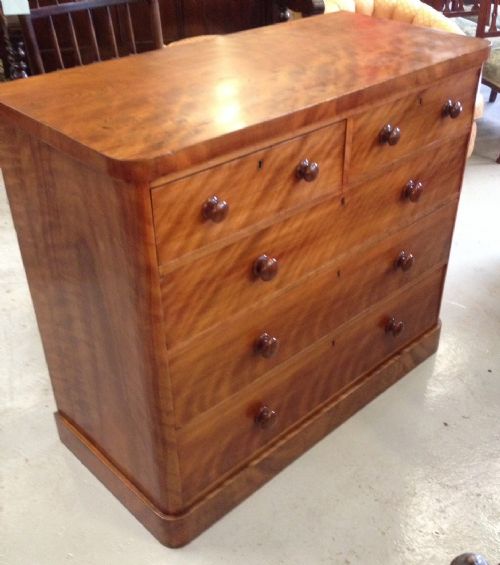 Victorian Satin Birch Chest of Drawers with Original Knob Handles