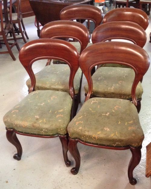 fig 1. Set of six victorian mahogany dining chairs - superb quality