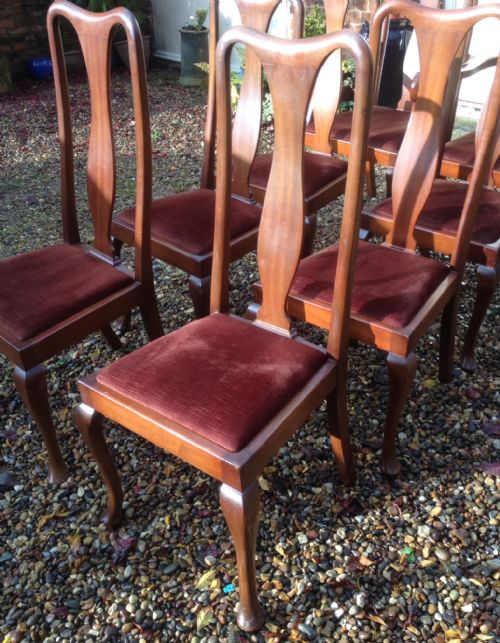 fig 1. Edwardian set of eight mahogany Queen Anne style dining chairs