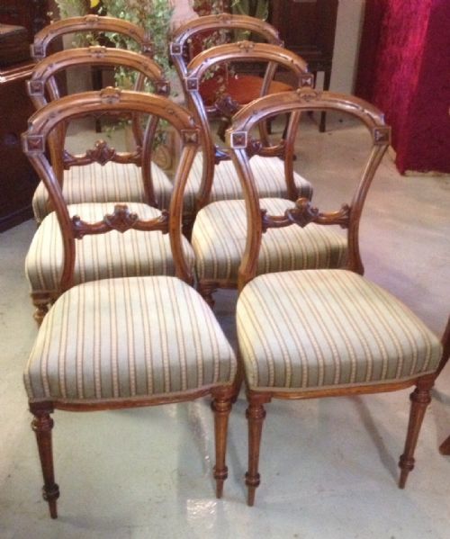 Set of Six Victorian Walnut Balloon Back Dining Chairs