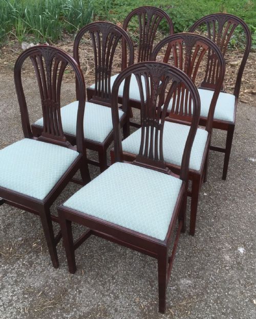fig 1. Six Edwardian mahogany Hepplewhite style dining chairs