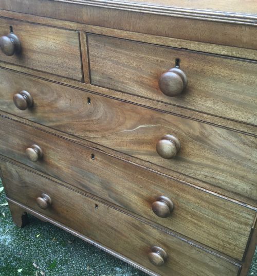fig 1. George third faded flame mahogany chest of drawers