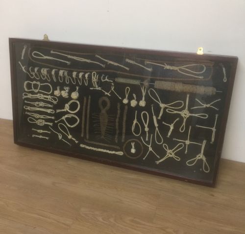 Large Display Case of Nautical Knots
