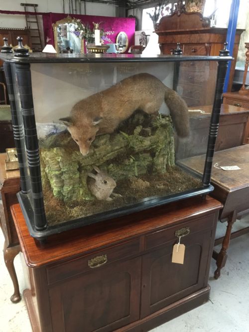 Nineteenth Century Cased Taxidermy
